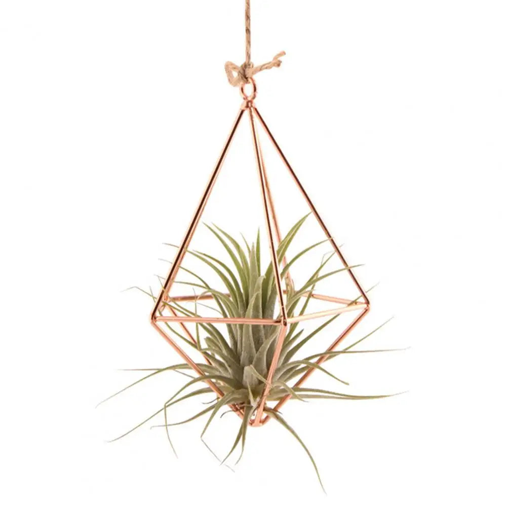 Air Plant Holder Rot-resistant Air Plant Display Rack Geometric Glass Terrarium Propagation Station with Iron Stand for Home