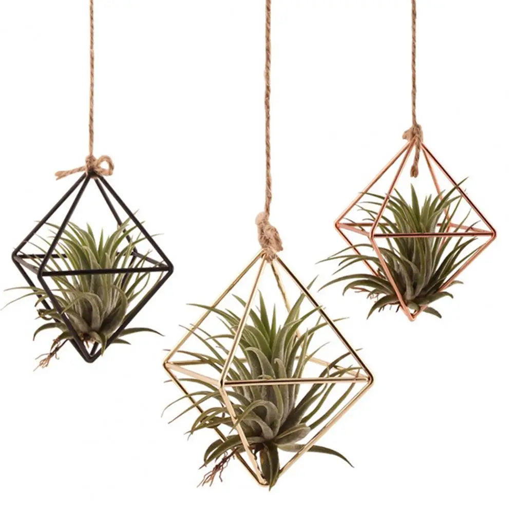 Air Plant Holder Rot-resistant Air Plant Display Rack Geometric Glass Terrarium Propagation Station with Iron Stand for Home