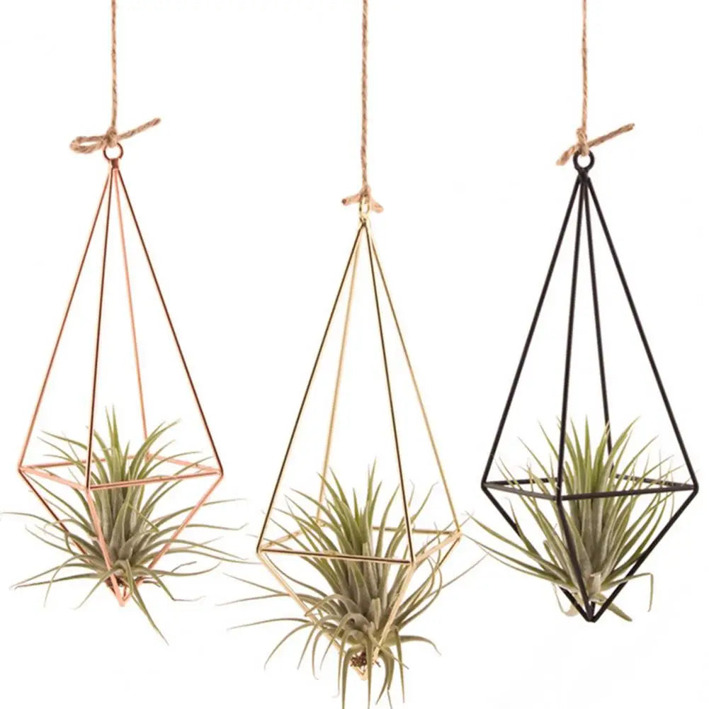 Air Plant Holder Rot-resistant Air Plant Display Rack Geometric Glass Terrarium Propagation Station with Iron Stand for Home