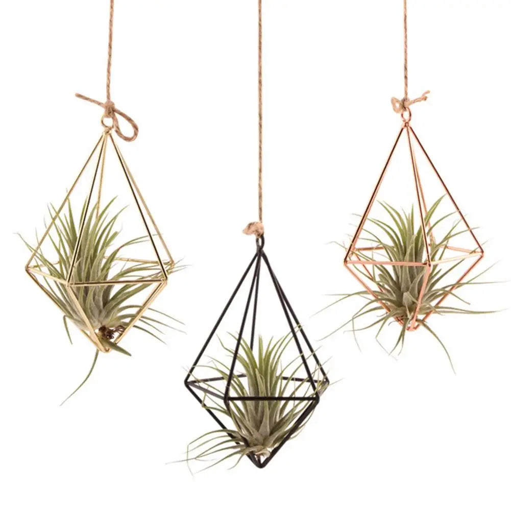 Air Plant Holder Rot-resistant Air Plant Display Rack Geometric Glass Terrarium Propagation Station with Iron Stand for Home